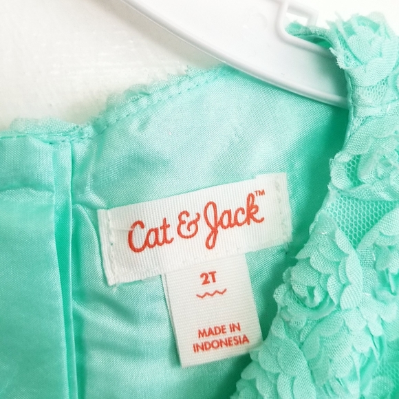 NEW Cat & Jack Mint Green Girl's Dress Empire Waist Rosette Dress Size 2T Nwot - Picture 6 of 7